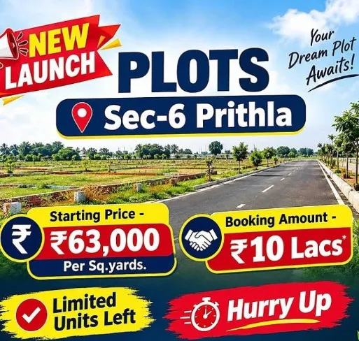Plot for Sale in Prithla Sector 6, Palwal