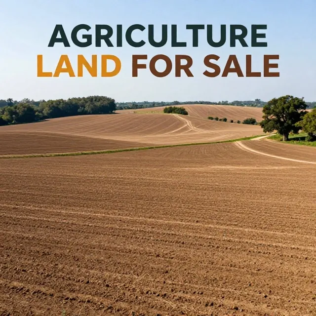 Agriculture Land for Sale in Gurgaon Alwar Road, Nuh Mewat