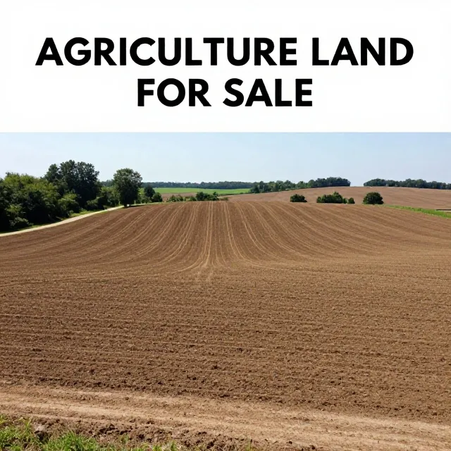Agriculture Land for Sale in Vill- Mandkola, Palwal