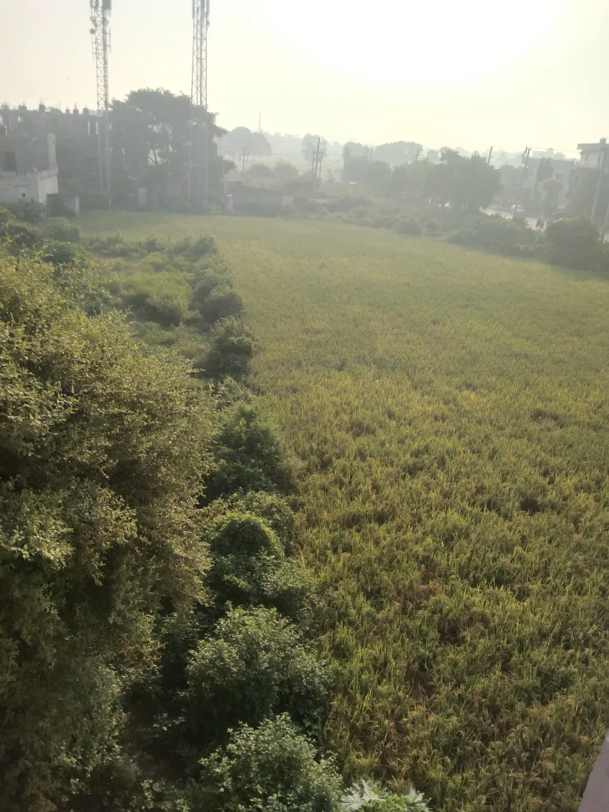 Agriculture Land for Sale in Village Andhop, Tehsil Bahin, Hodal